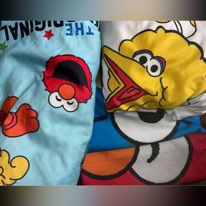 Sesame Street Twin Sheet Set